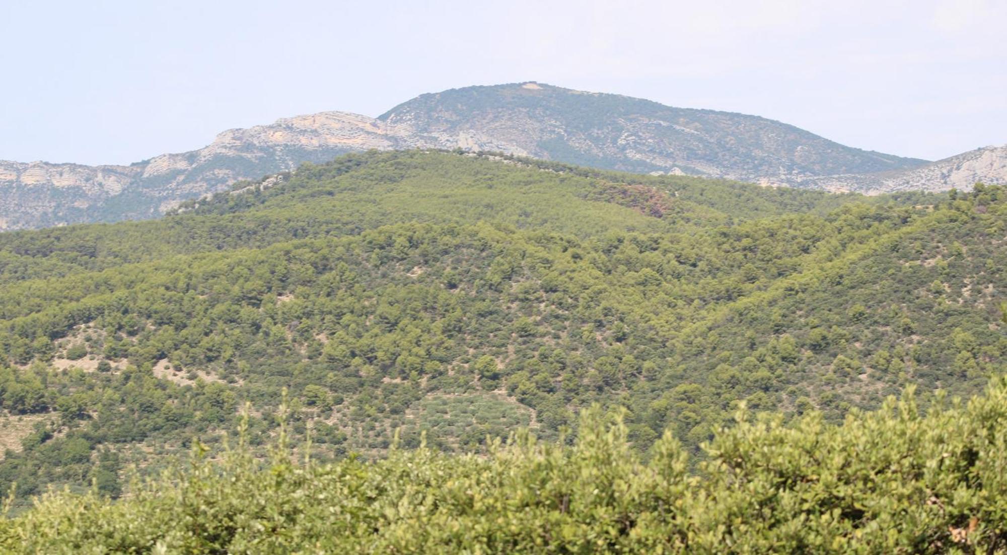 Вилла Le Pas Du Ventoux Mollans-sur-Ouveze Экстерьер фото
