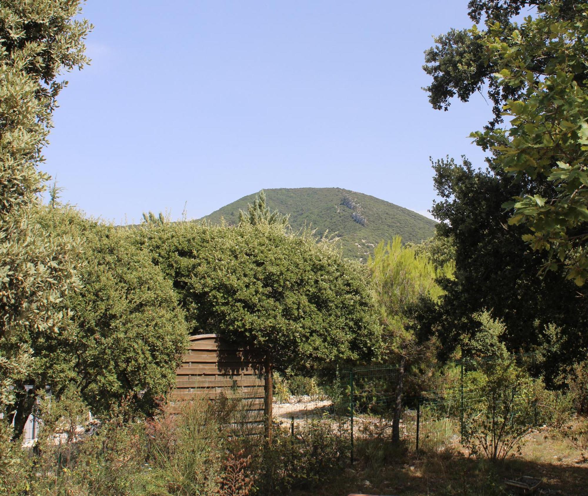 Вилла Le Pas Du Ventoux Mollans-sur-Ouveze Экстерьер фото